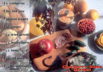 Cranberry Salsa Spread recipe from Mackerel Sky Gallery of Contemporary Craft