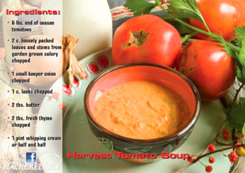 Harvest Tomato Soup